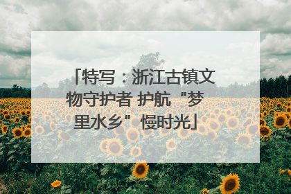 特写：浙江古镇文物守护者 护航“梦里水乡”慢时光