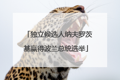 独立候选人纳夫罗茨基赢得波兰总统选举