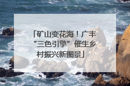 矿山变花海！广丰“三色引擎”催生乡村振兴新图景