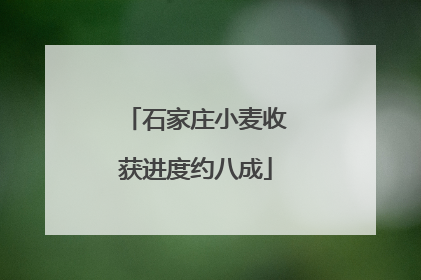 石家庄小麦收获进度约八成