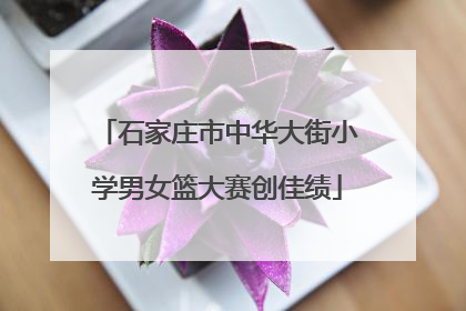 石家庄市中华大街小学男女篮大赛创佳绩