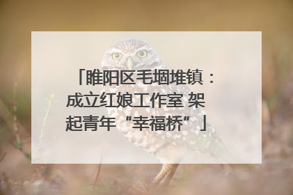 睢阳区毛堌堆镇：成立红娘工作室 架起青年“幸福桥”