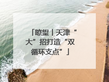 瞭望丨天津“大”招打造“双循环支点”
