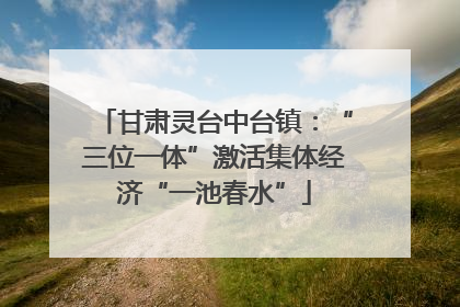 甘肃灵台中台镇：“三位一体”激活集体经济“一池春水”