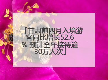 甘肃前四月入境游客同比增长52.6% 预计全年接待逾30万人次