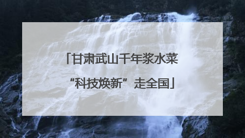 甘肃武山千年浆水菜“科技焕新”走全国