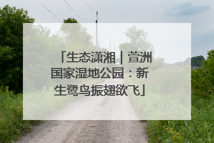 生态潇湘｜萱洲国家湿地公园：新生鹭鸟振翅欲飞