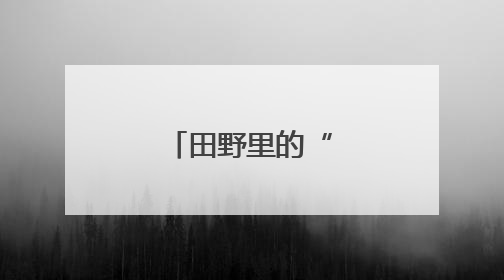 田野里的“精算师”