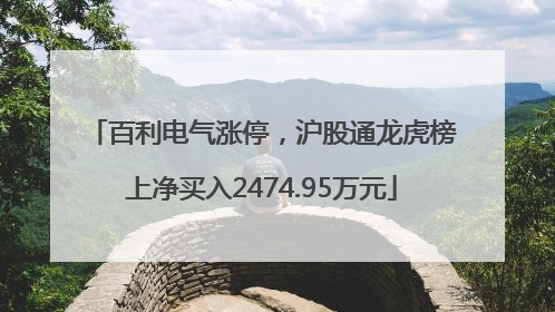 百利电气涨停，沪股通龙虎榜上净买入2474.95万元