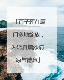 百子莲在厦门多地绽放，为盛夏增添清凉与诗意
