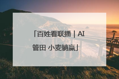 百姓看联播｜AI管田 小麦躺赢