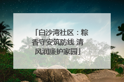 白沙湾社区：粽香守安筑防线 清风润廉护家园