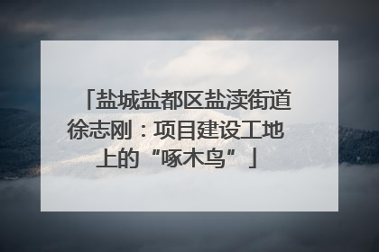 盐城盐都区盐渎街道徐志刚：项目建设工地上的“啄木鸟”