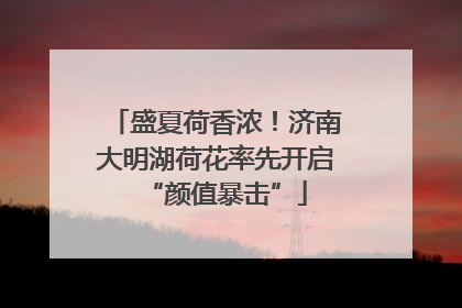 盛夏荷香浓！济南大明湖荷花率先开启“颜值暴击”