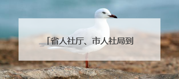 省人社厅、市人社局到湖北东风汽车技师学院调研技能竞赛集训工作