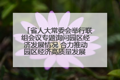 省人大常委会举行联组会议专题询问园区经济发展情况 合力推动园区经济高质量发展 王宁主持会议并讲话 王予波带队到会应询