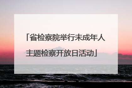 省检察院举行未成年人主题检察开放日活动