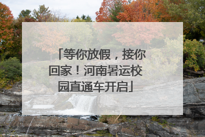 等你放假，接你回家！河南暑运校园直通车开启