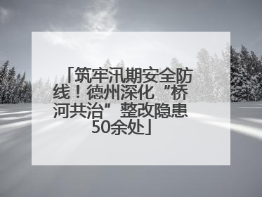 筑牢汛期安全防线！德州深化“桥河共治”整改隐患50余处