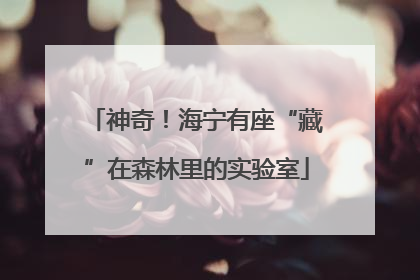 神奇！海宁有座“藏”在森林里的实验室