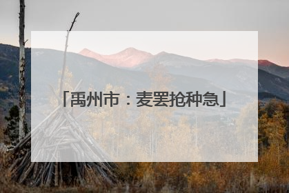 禹州市：麦罢抢种急