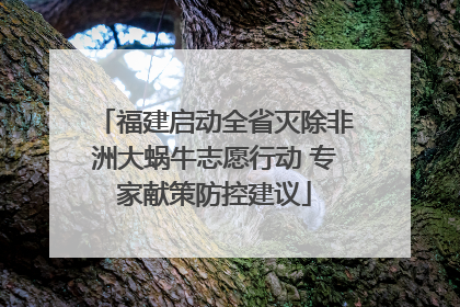福建启动全省灭除非洲大蜗牛志愿行动 专家献策防控建议