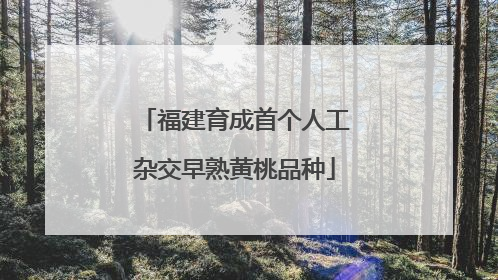 福建育成首个人工杂交早熟黄桃品种