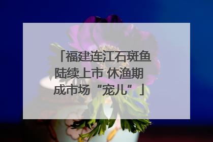 福建连江石斑鱼陆续上市 休渔期成市场“宠儿”