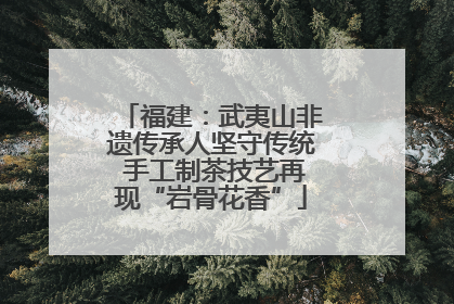 福建：武夷山非遗传承人坚守传统 手工制茶技艺再现“岩骨花香”