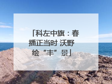 科左中旗：春播正当时 沃野绘“丰”景