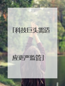 科技巨头需适应更严监管