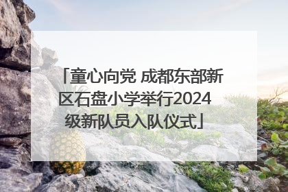童心向党 成都东部新区石盘小学举行2024级新队员入队仪式
