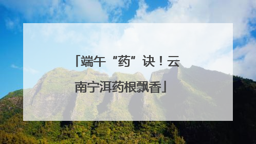端午“药”诀！云南宁洱药根飘香