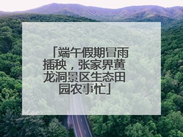 端午假期冒雨插秧，张家界黄龙洞景区生态田园农事忙