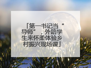 第一书记当“导师”，外籍学生来怀柔体验乡村振兴现场课