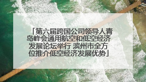 第六届跨国公司领导人青岛峰会通用航空和低空经济发展论坛举行 滨州市全方位推介低空经济发展优势