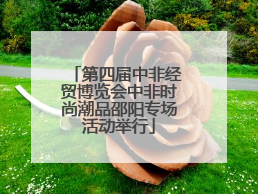 第四届中非经贸博览会中非时尚潮品邵阳专场活动举行