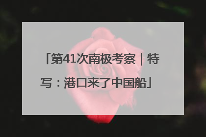 第41次南极考察｜特写：港口来了中国船