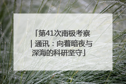 第41次南极考察｜通讯：向着暗夜与深海的科研坚守