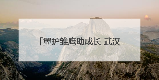 翼护雏鹰助成长 武汉市司法局何湾强戒所开展禁毒宣传进校园活动