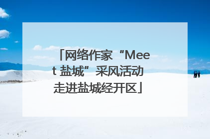 网络作家“Meet 盐城”采风活动走进盐城经开区