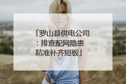 罗山县供电公司：排查配网隐患 精准补齐短板