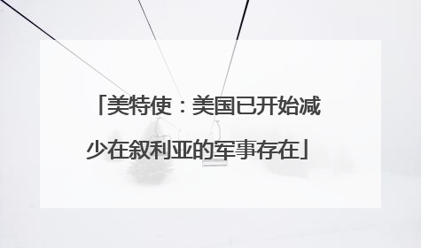 美特使：美国已开始减少在叙利亚的军事存在