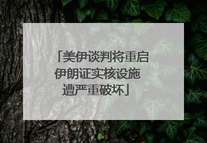 美伊谈判将重启 伊朗证实核设施遭严重破坏