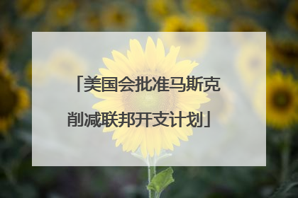 美国会批准马斯克削减联邦开支计划