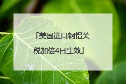 美国进口钢铝关税加倍4日生效