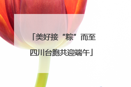 美好接“粽”而至 四川台胞共迎端午