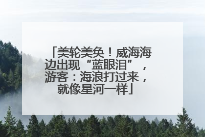美轮美奂！威海海边出现“蓝眼泪”，游客：海浪打过来，就像星河一样