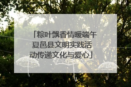 粽叶飘香情暖端午 夏邑县文明实践活动传递文化与爱心