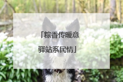 粽香传暖意 驿站系民情